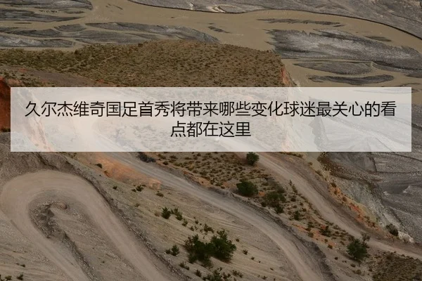 久尔杰维奇国足首秀将带来哪些变化球迷最关心的看点都在这里（MAIQIU）